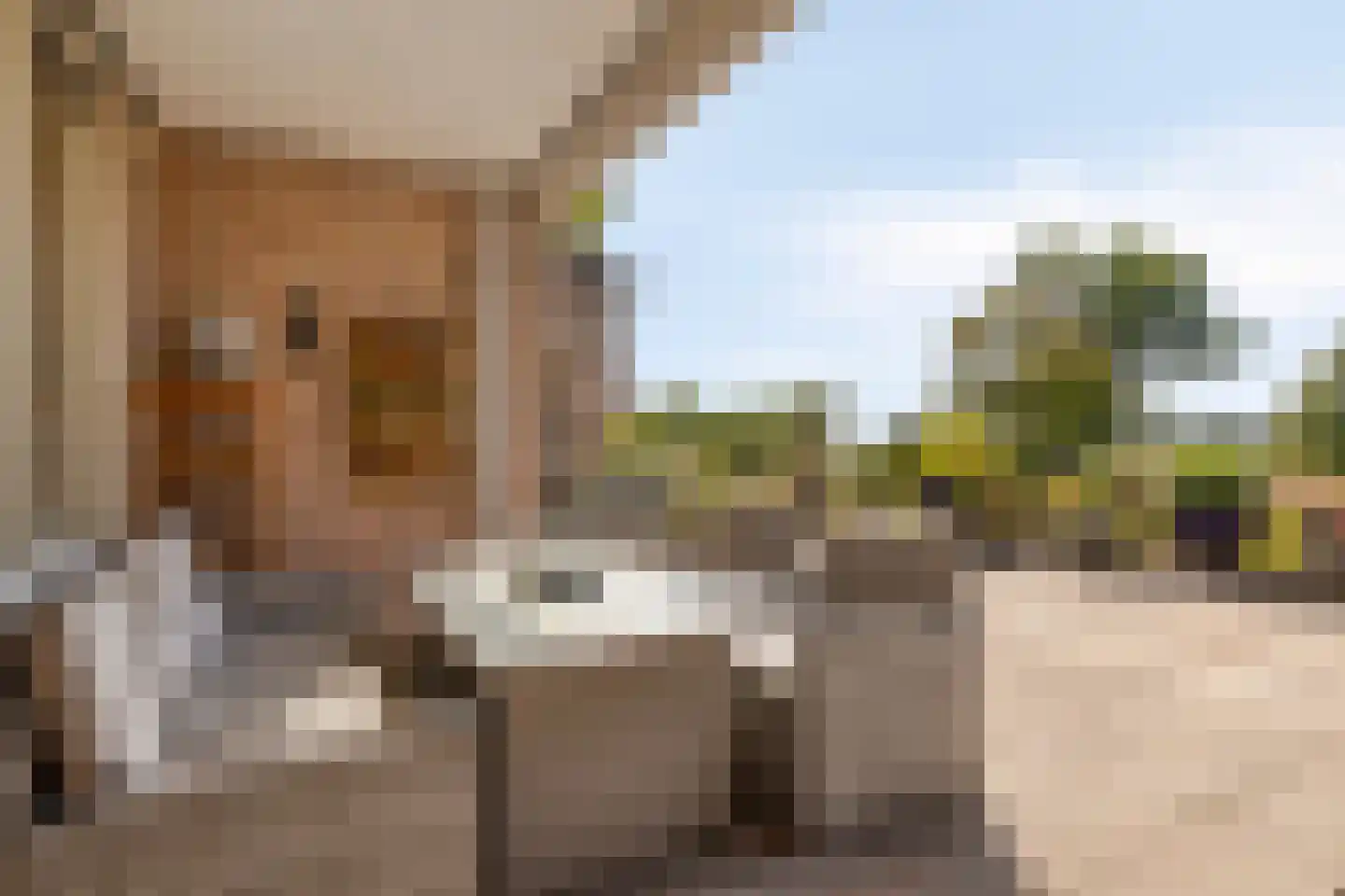 Doctor Marie Curiestraat 5 Venlo thumbnail 36