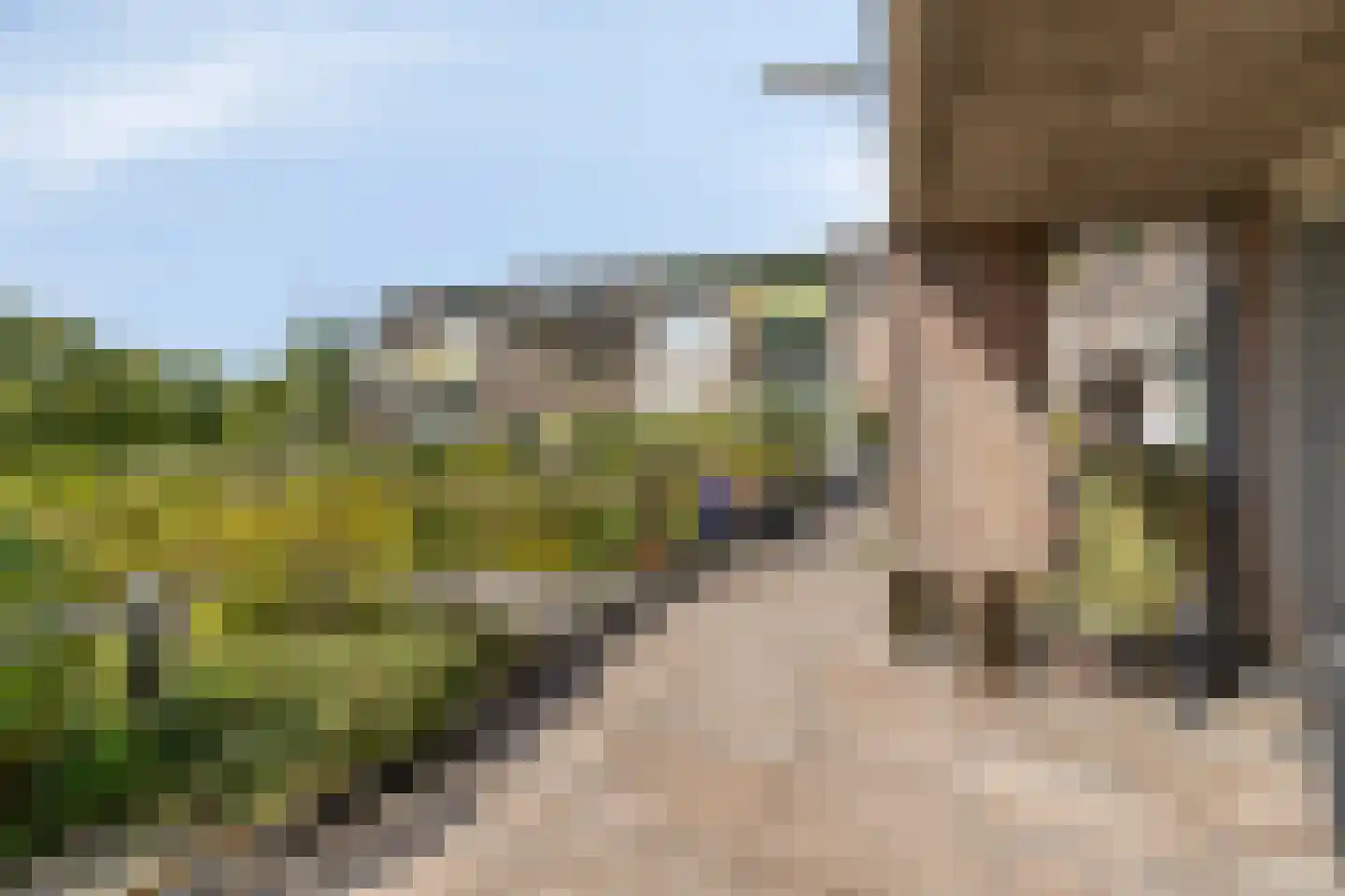Doctor Marie Curiestraat 5 Venlo thumbnail 45