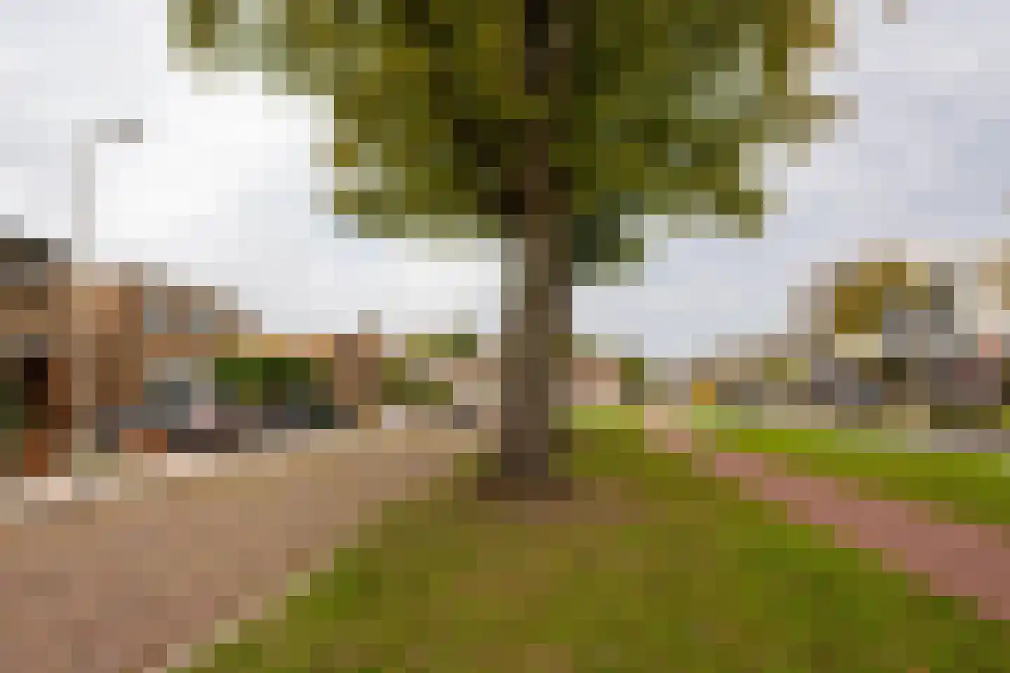 Doctor Mollerlaan 79 Roosendaal thumbnail 36