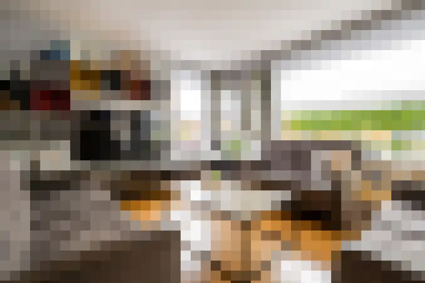 Doctor Mollerlaan 79 Roosendaal thumbnail 4