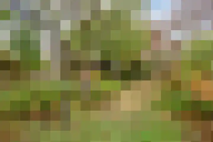 Doctor Nolensstraat 14 Reuver thumbnail 33