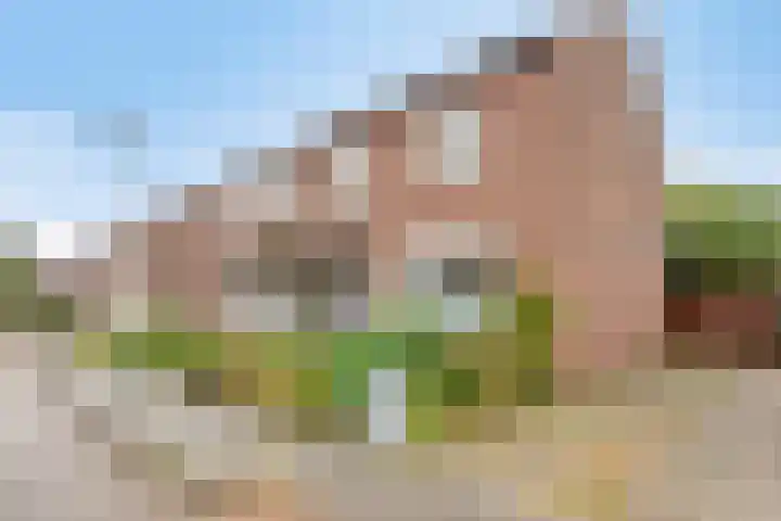 Doctor Nolensstraat 14 Reuver thumbnail 4