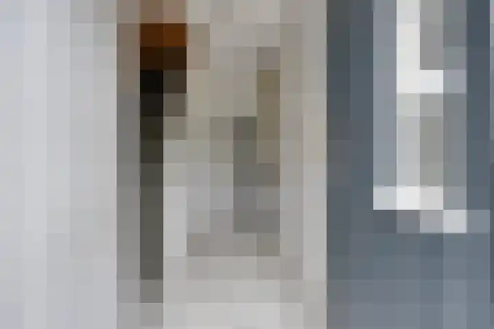 Doctor Nolensstraat 14 Reuver thumbnail 5
