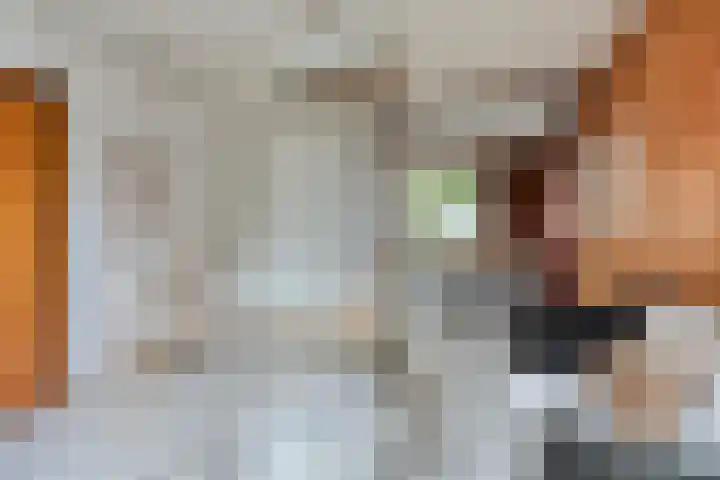 Doctor Nolensstraat 14 Reuver thumbnail 8