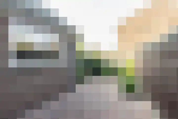 Doctor Nolensstraat 4 Reuver thumbnail 18