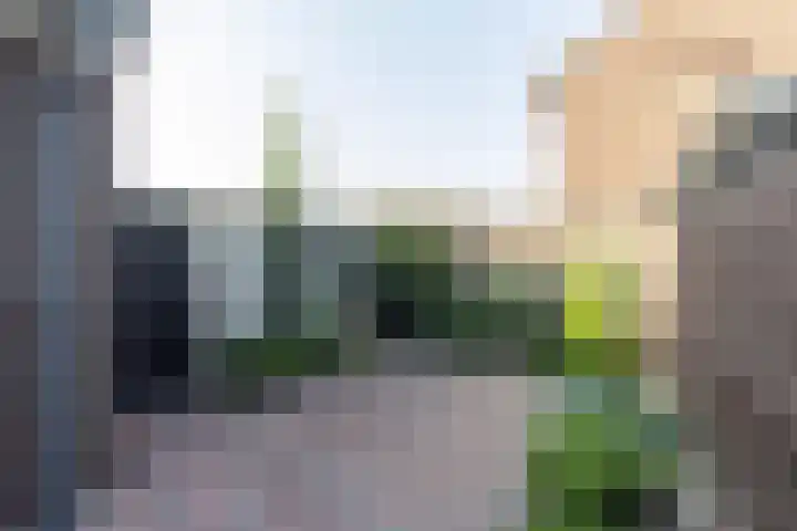 Doctor Nolensstraat 4 Reuver thumbnail 19