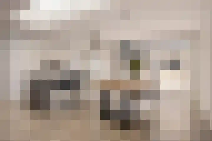 Doctor Nolensstraat 8 Urmond thumbnail 13