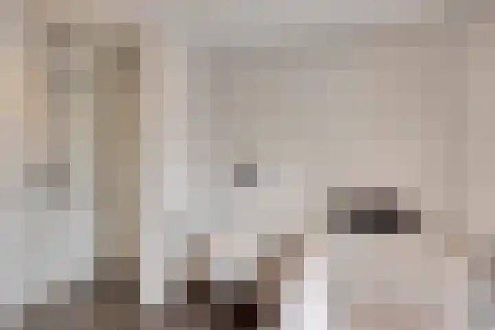Doctor Nolensstraat 8 Urmond thumbnail 22