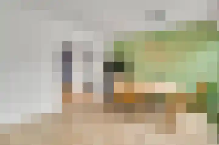 Doctor Philipslaan 4 Roermond thumbnail 16