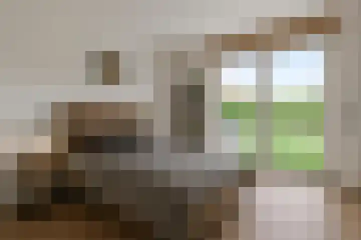 Doctor Philipslaan 4 Roermond thumbnail 27