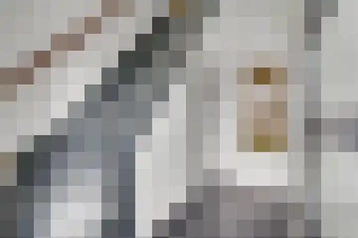 Doctor Philipslaan 4 Roermond thumbnail 5