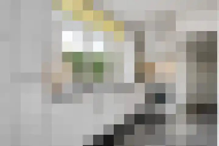 Doctor Philipslaan 4 Roermond thumbnail 7
