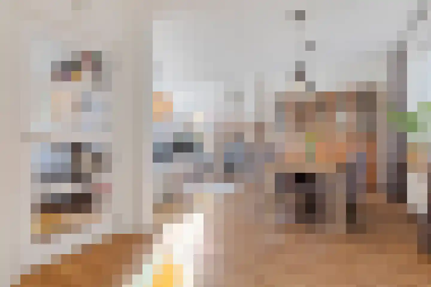 Doctor Poelsstraat 13 Urmond thumbnail 11