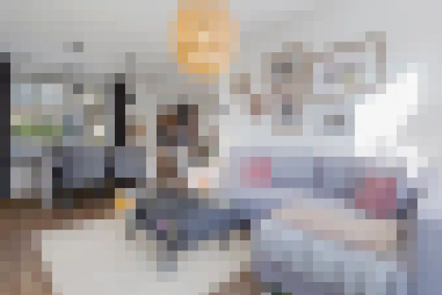 Doctor Poelsstraat 13 Urmond thumbnail 17