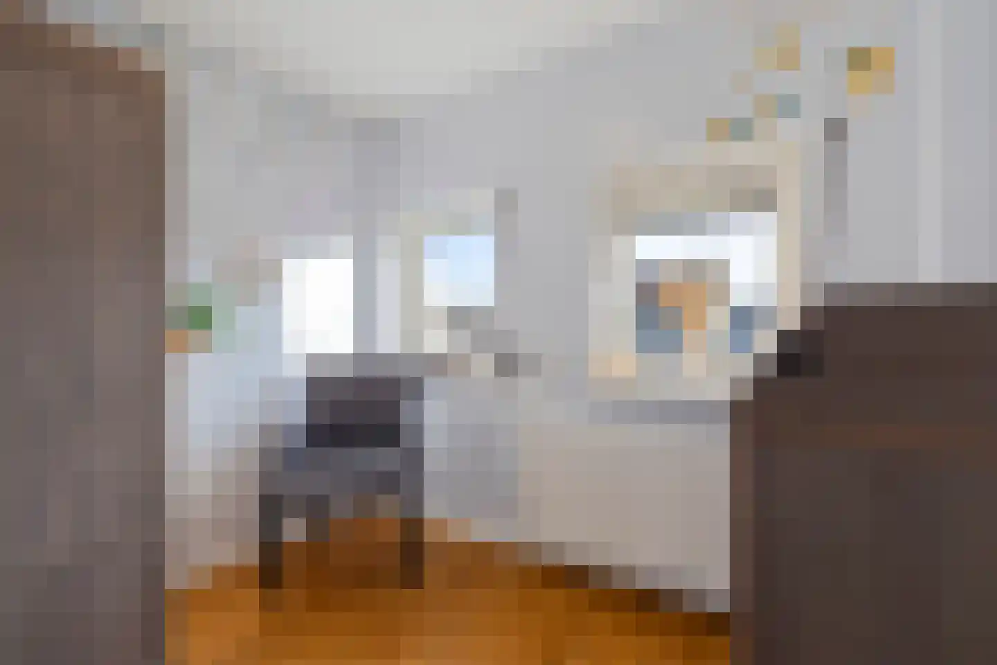 Doctor Poelsstraat 13 Urmond thumbnail 34