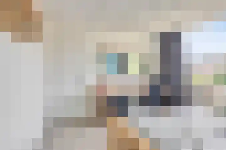Doctor Poelsstraat 14 Geffen thumbnail 18