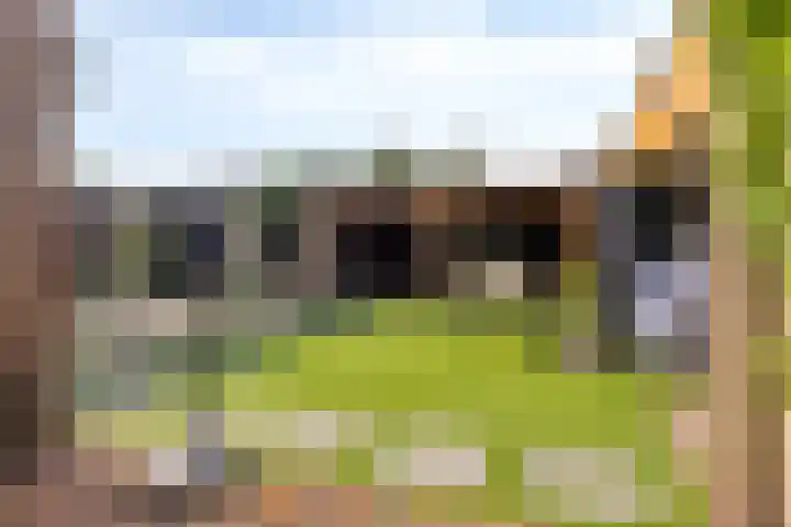 Doctor Poelsstraat 14 Geffen thumbnail 24