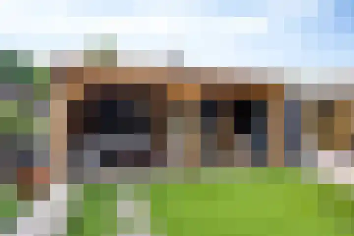 Doctor Poelsstraat 14 Geffen thumbnail 25