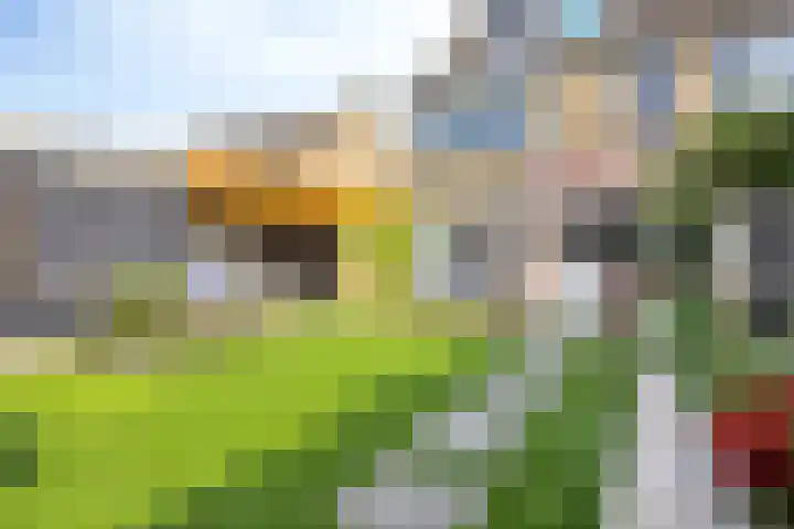 Doctor Poelsstraat 14 Geffen thumbnail 26