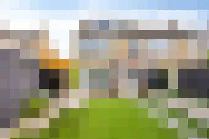 Doctor Poelsstraat 14 Geffen thumbnail 27