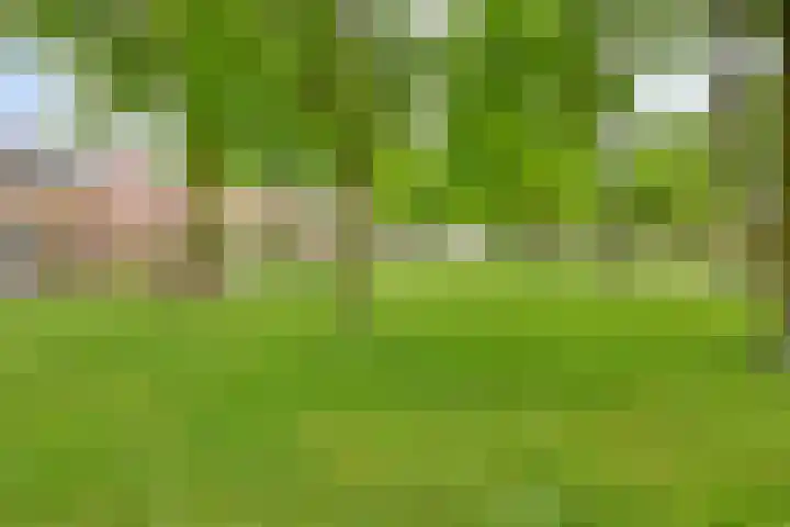 Doctor Poelsstraat 14 Geffen thumbnail 30