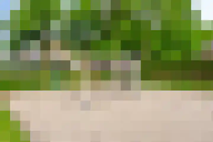 Doctor Poelsstraat 14 Geffen thumbnail 31