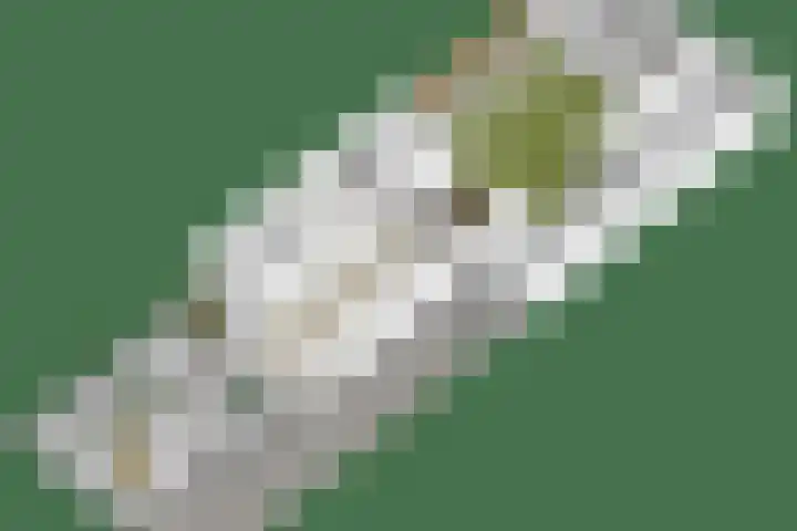 Doctor Poelsstraat 14 Geffen thumbnail 33