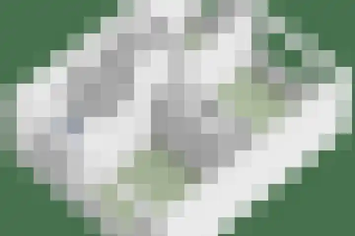 Doctor Poelsstraat 14 Geffen thumbnail 37