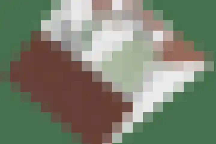 Doctor Poelsstraat 14 Geffen thumbnail 39