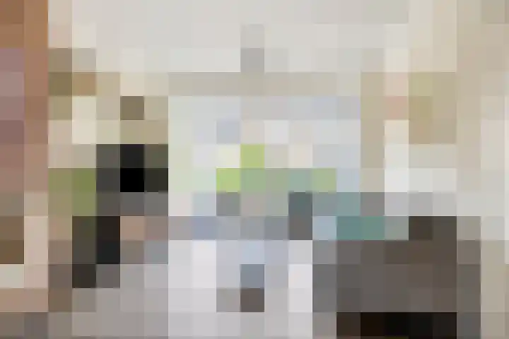 Doctor Poelsstraat 14 Geffen thumbnail 7