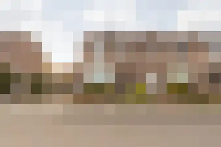 Doctor Poelsstraat 16 Elsloo thumbnail 10