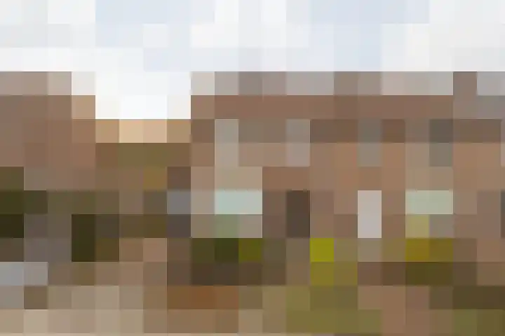 Doctor Poelsstraat 16 Elsloo thumbnail 11