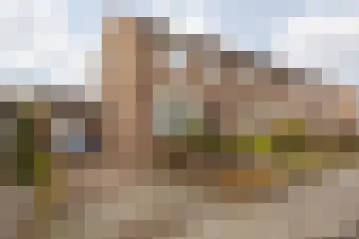 Doctor Poelsstraat 16 Elsloo thumbnail 13