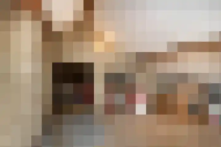 Doctor Poelsstraat 16 Elsloo thumbnail 35