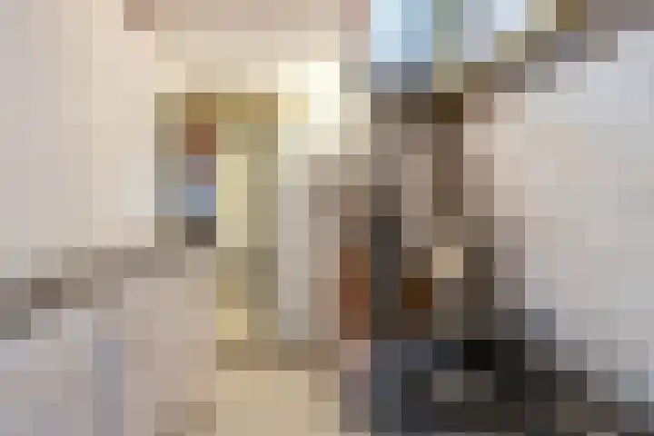 Doctor Poelsstraat 16 Elsloo thumbnail 38