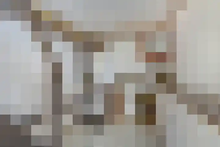 Doctor Poelsstraat 16 Elsloo thumbnail 39