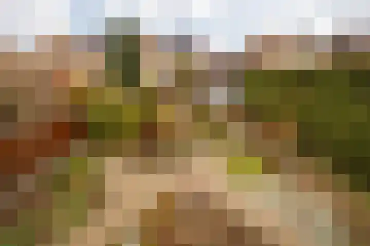 Doctor Poelsstraat 16 Elsloo thumbnail 4