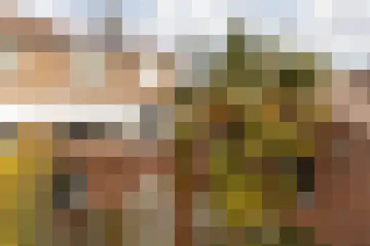 Doctor Poelsstraat 16 Elsloo thumbnail 50