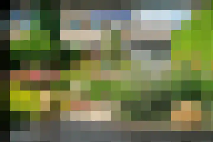 Doctor Poelsstraat 16 Elsloo thumbnail 53
