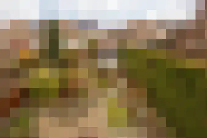 Doctor Poelsstraat 16 Elsloo thumbnail 56