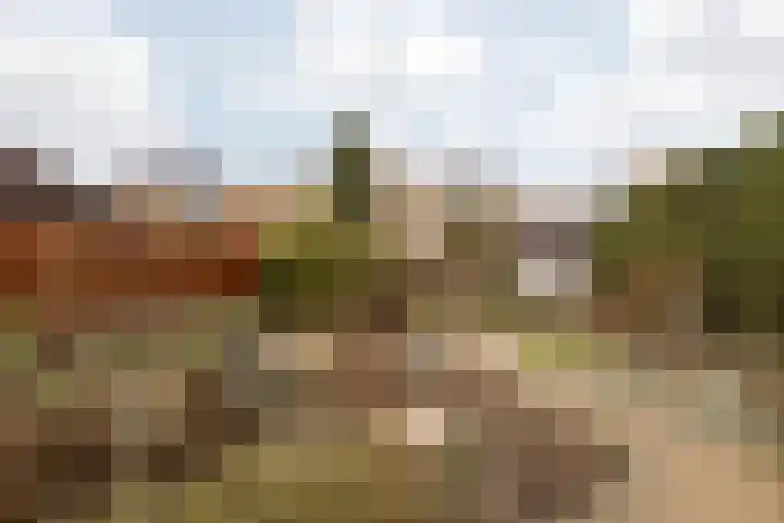 Doctor Poelsstraat 16 Elsloo thumbnail 57