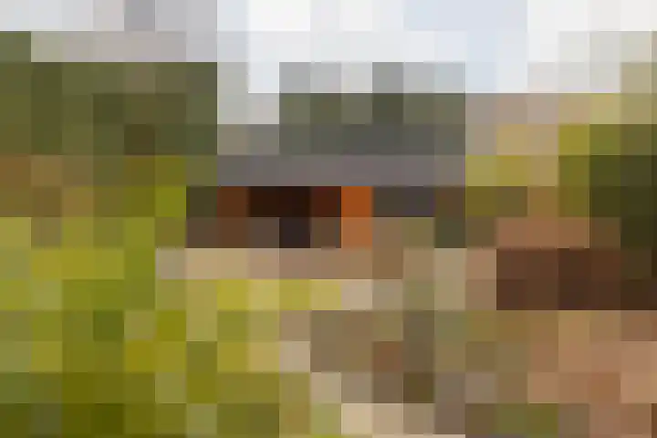 Doctor Poelsstraat 16 Elsloo thumbnail 62