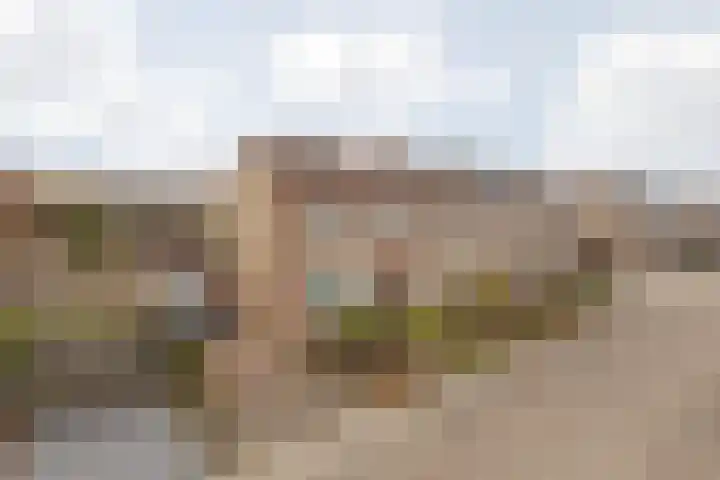 Doctor Poelsstraat 16 Elsloo thumbnail 7