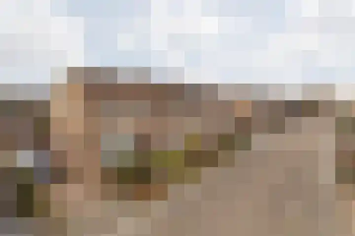 Doctor Poelsstraat 16 Elsloo thumbnail 8