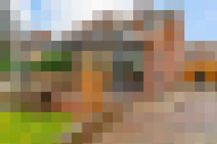 Doctor Poelsstraat 20 Elsloo thumbnail 12