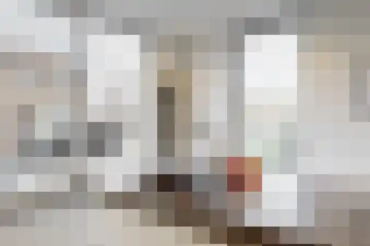 Doctor Poelsstraat 20 Elsloo thumbnail 19