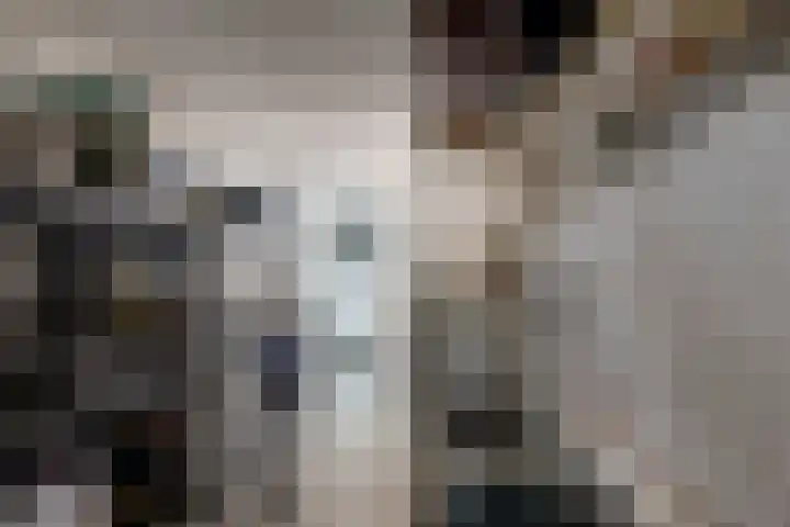 Doctor Poelsstraat 20 Elsloo thumbnail 38
