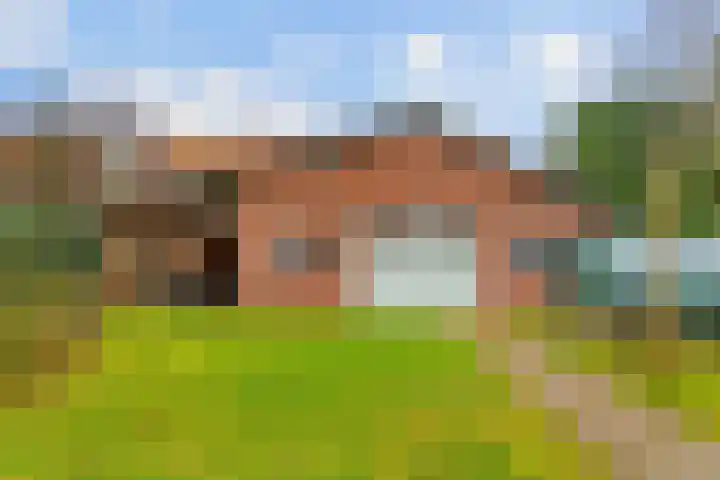 Doctor Poelsstraat 20 Elsloo thumbnail 43