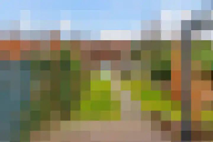 Doctor Poelsstraat 20 Elsloo thumbnail 6
