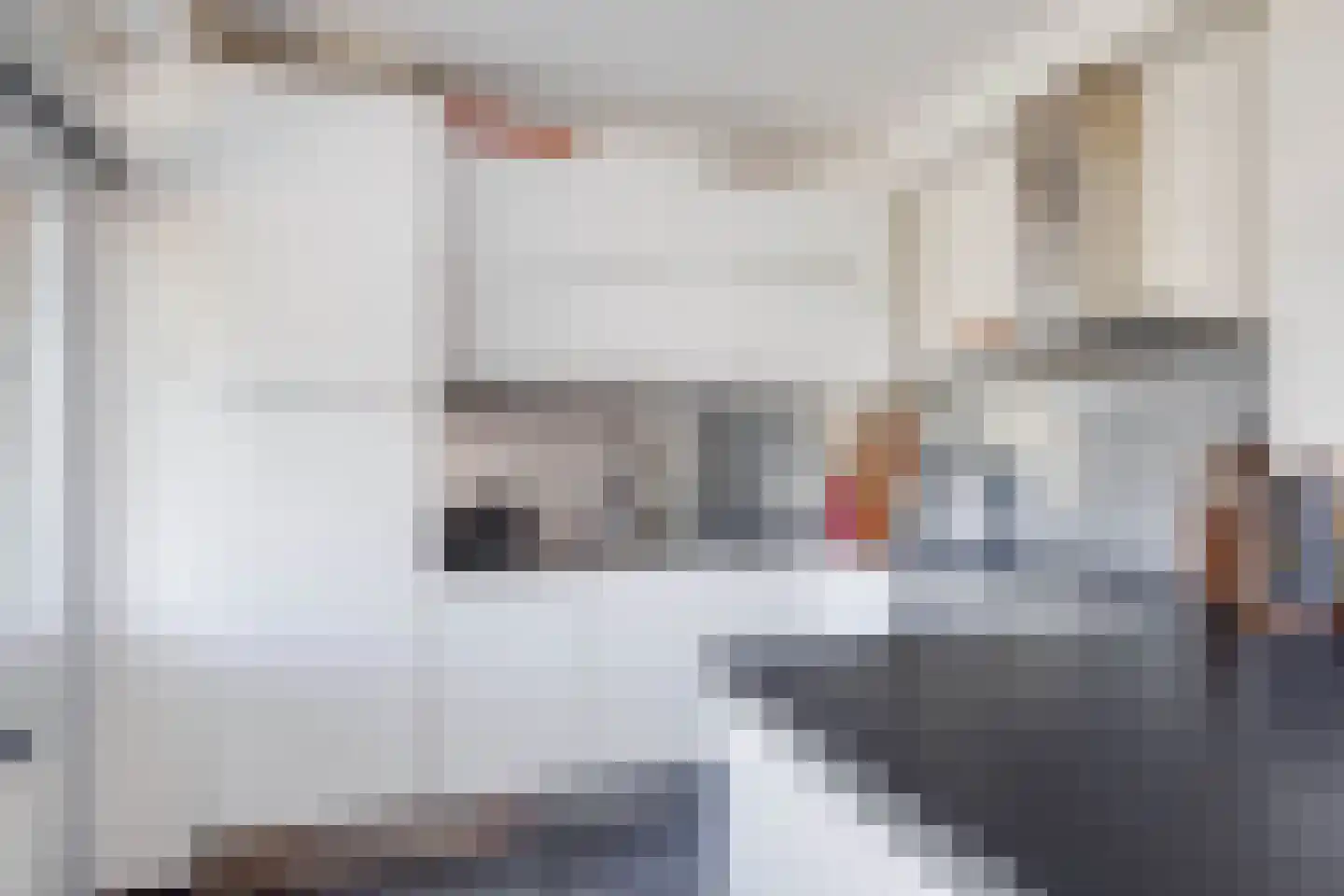 Doctor Poelsstraat 21 Elsloo thumbnail 18